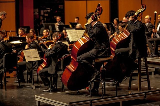 orchestra 7265635 640